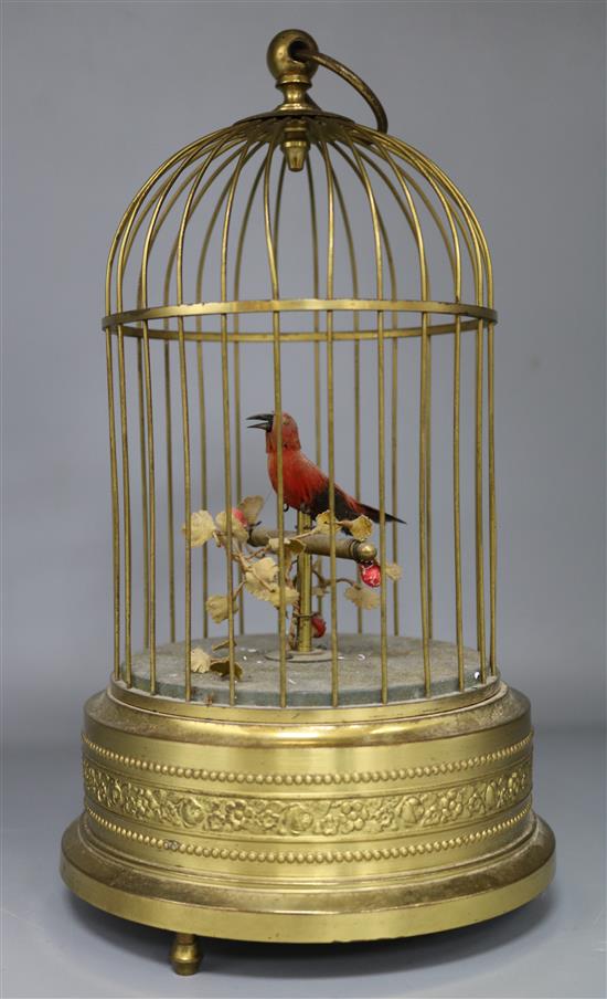A musical bird in cage